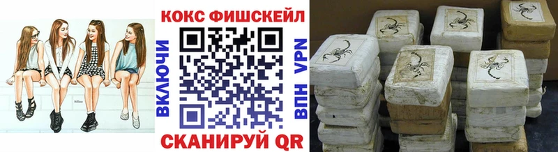 COCAIN Fish Scale  Купить  Томилино 