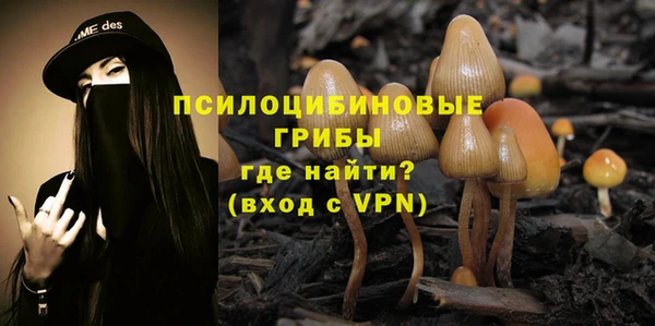 гашиш Ельня