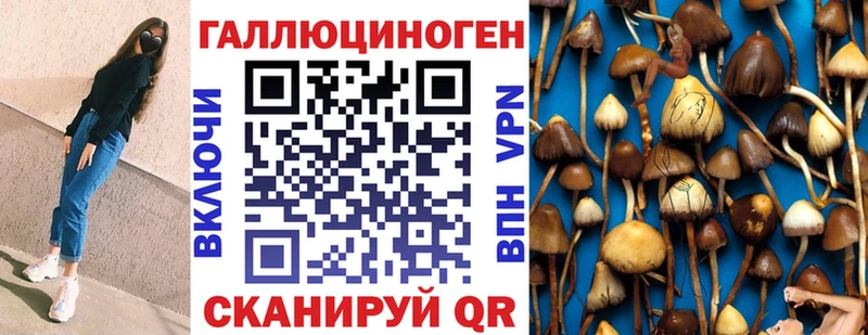 Купить закладки  Томилино  Галлюциногенные грибы мухоморы 